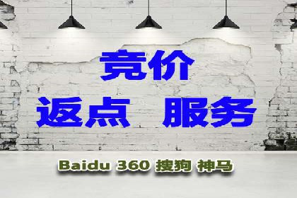 案例解读：SEO与SEM优化助力电商崛起